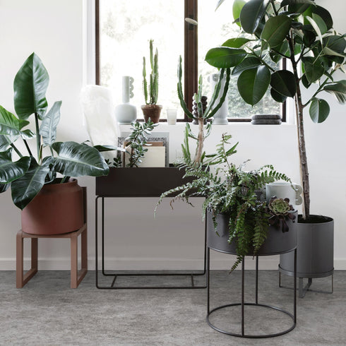 Plant Box Round